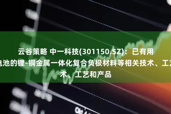 云谷策略 中一科技(301150.SZ)：已有用于固态电池的锂-铜金属一体化复合负极材料等相关技术、工艺和产品